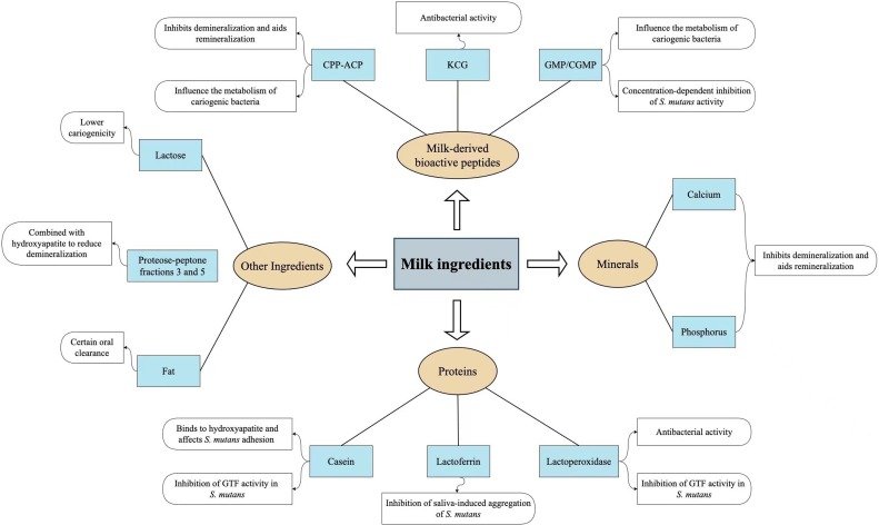 Effects of milk and milk products on Dental Caries