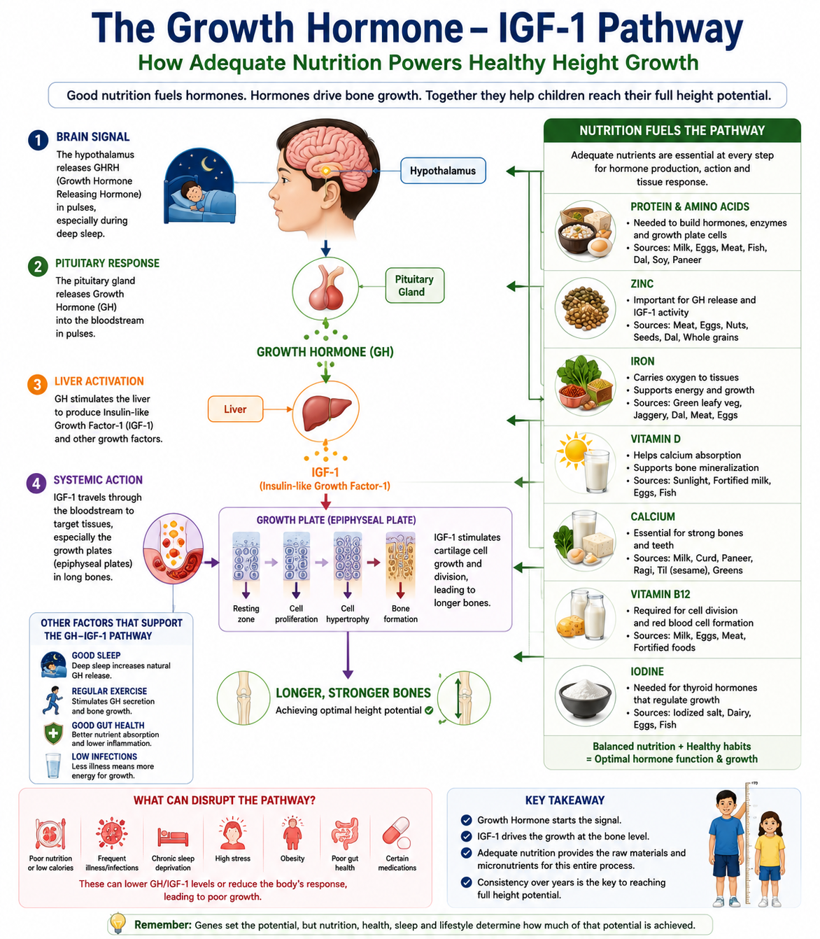 Growth Hormone IGF-1 Indian Children
