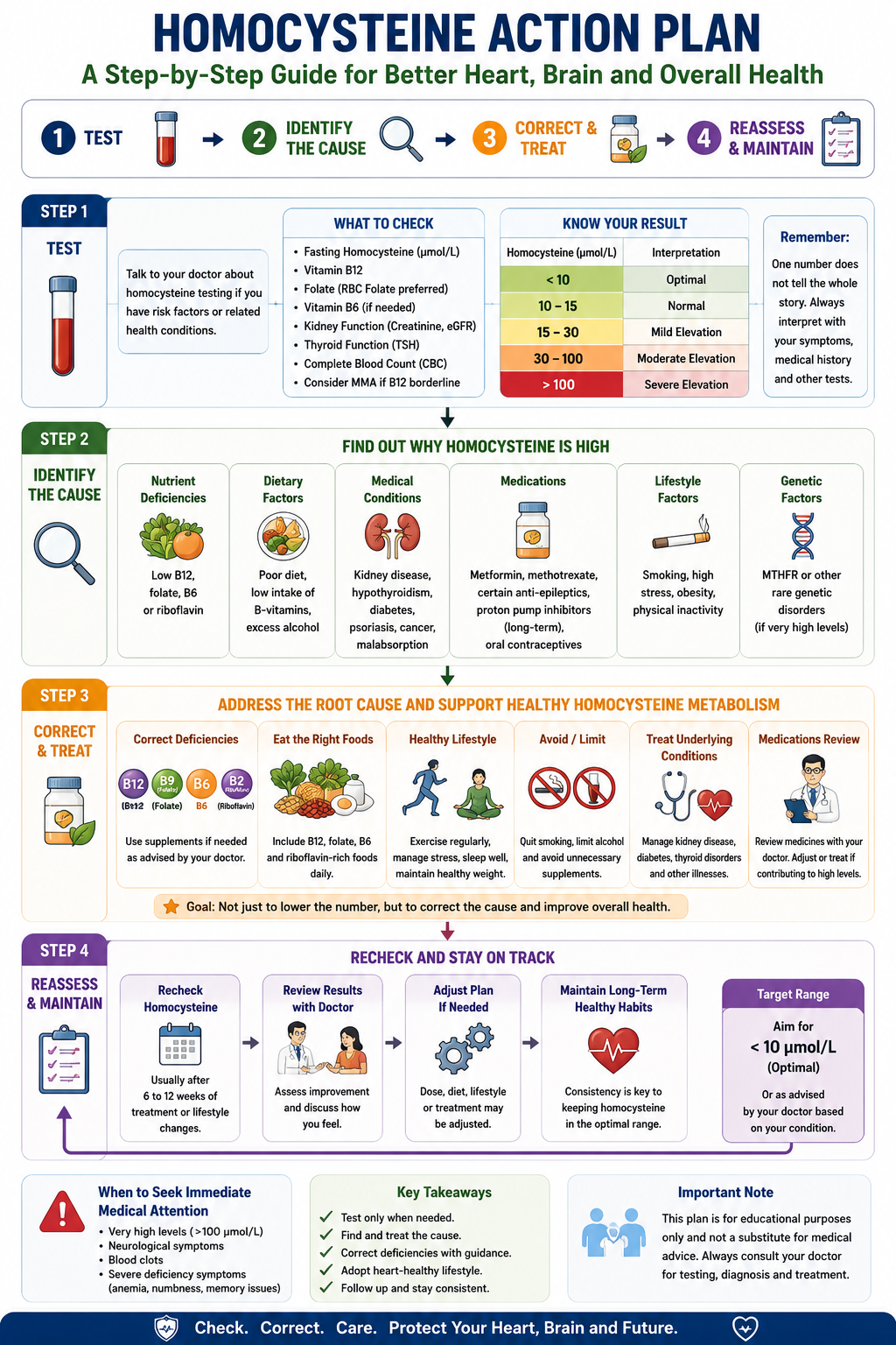 Practical Homocysteine Action Plan for Indians
