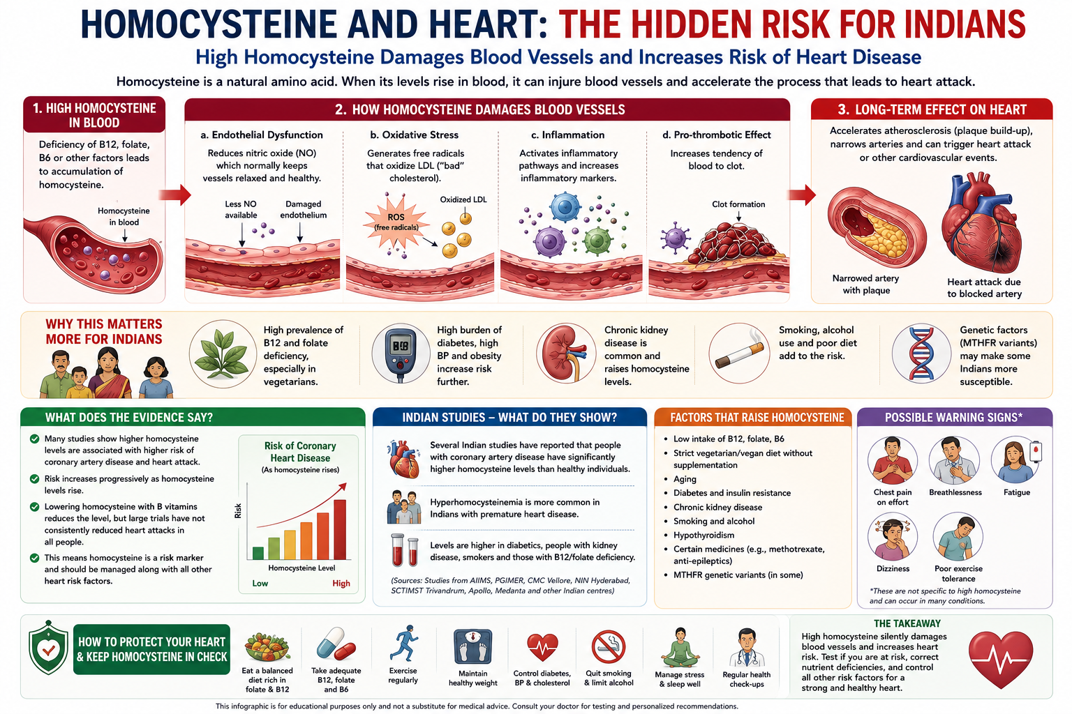 Homocysteine and Heart - Indians ar at Very High Risk
