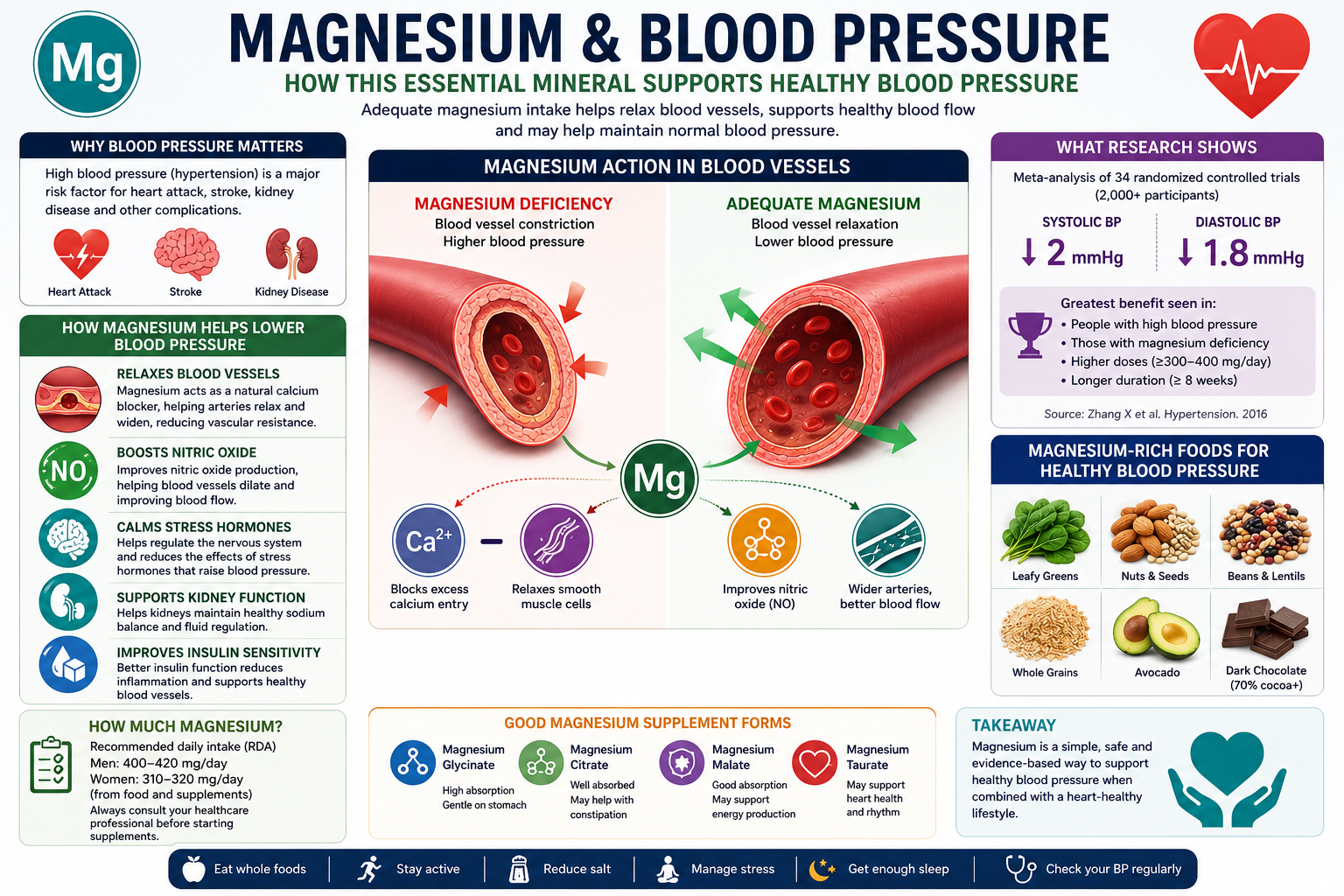 Magnesium role in regulating blood pressure