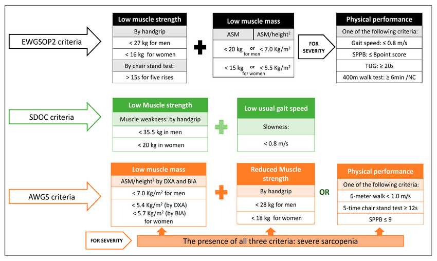 Based on AWGS 2024 and EWGSOP2 consensus recommendations