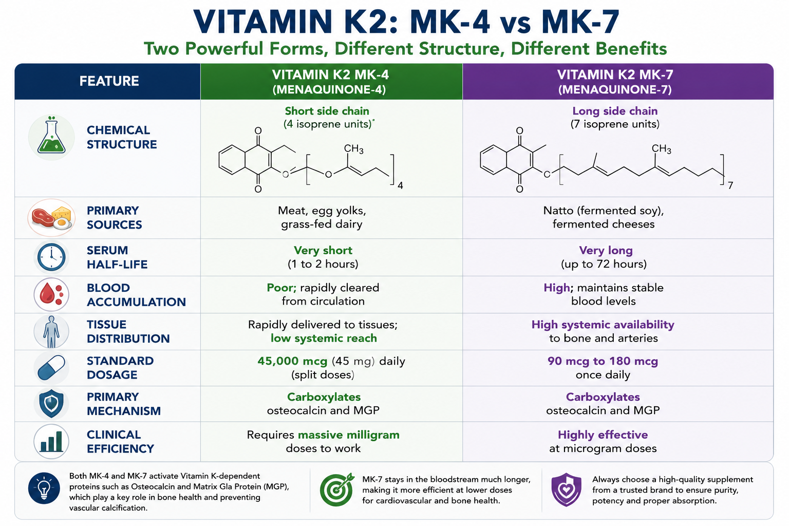 Comparative Efficacy of Vit K2-MK7 and Vit K2-MK4