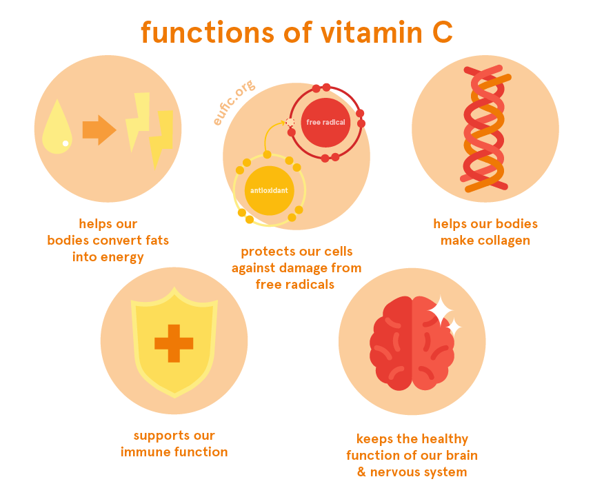 Why Vitamin C Is So Important