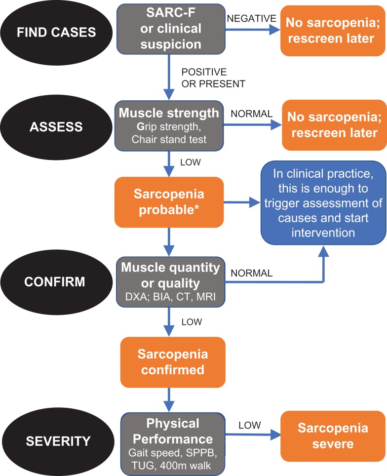 Based on AWGS 2024 and EWGSOP2 consensus recommendations