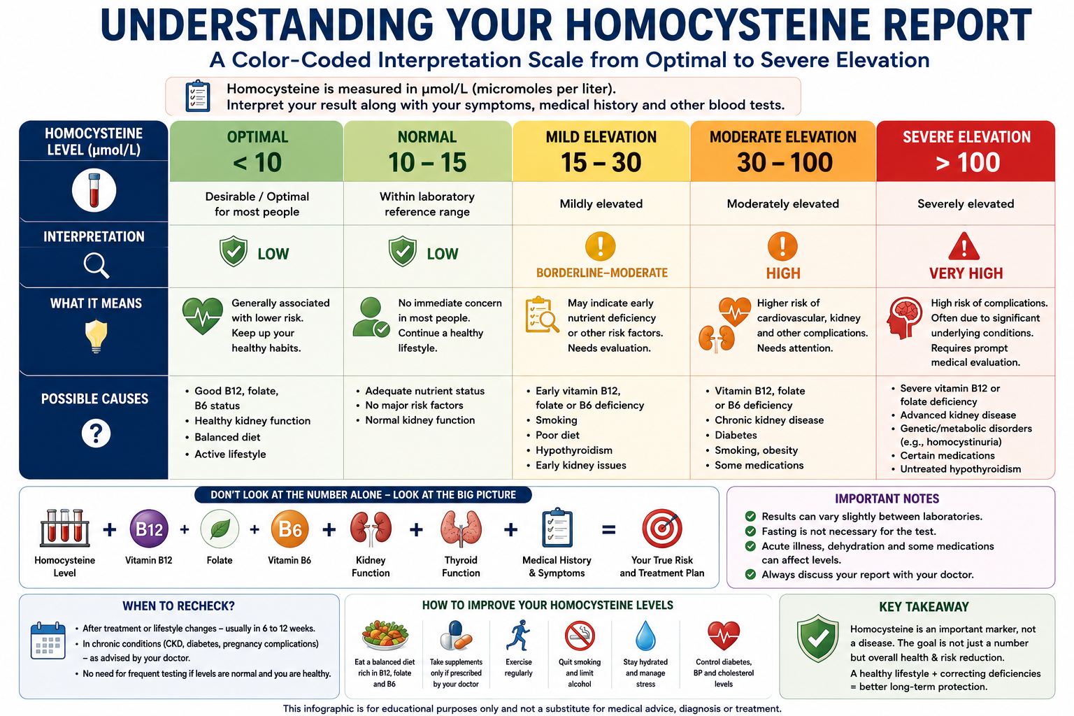 Understanding Your Homocysteine Report