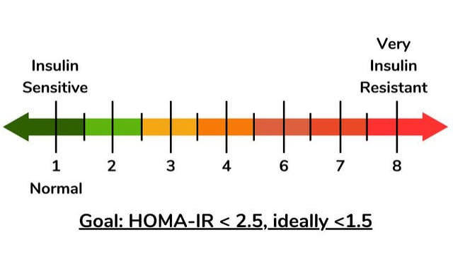 HOMA-IR Normal Values