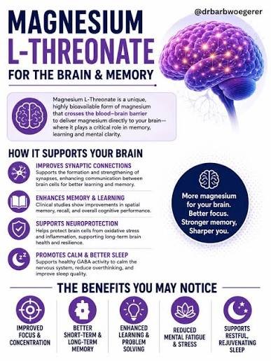 Magnesium for Brain Function