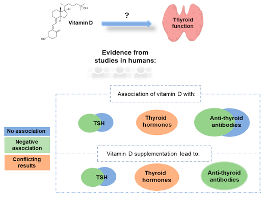 Vit D3 Supplementation in Hypothyroidism Cases