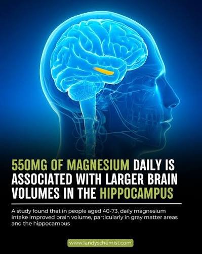 Magnesium L-Threonate for Brain Health