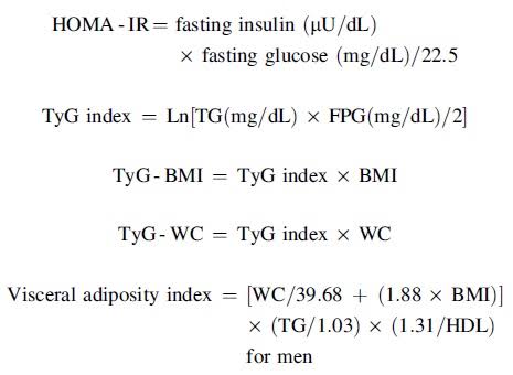 Insulin Resistance Indices for MASLD