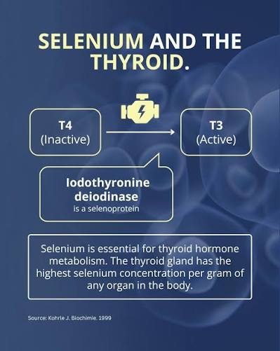 Selenium for Hypothyroidism