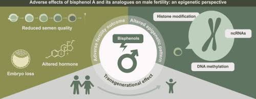 Adverse-effects-of-Bisphenol-A-on-Fertility