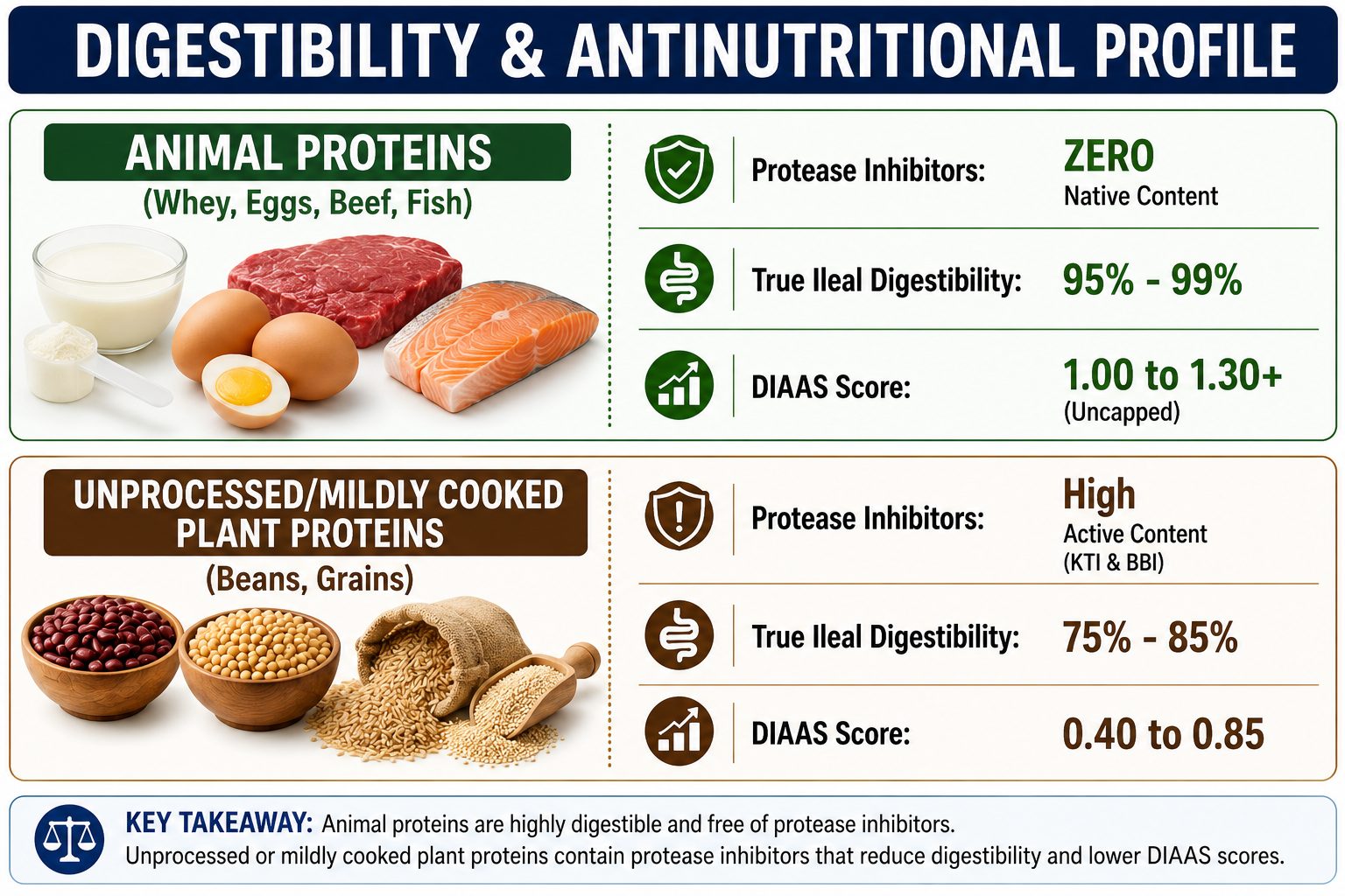 Digestibility and Nutritional Profiles of Plant vs Animal Proteins