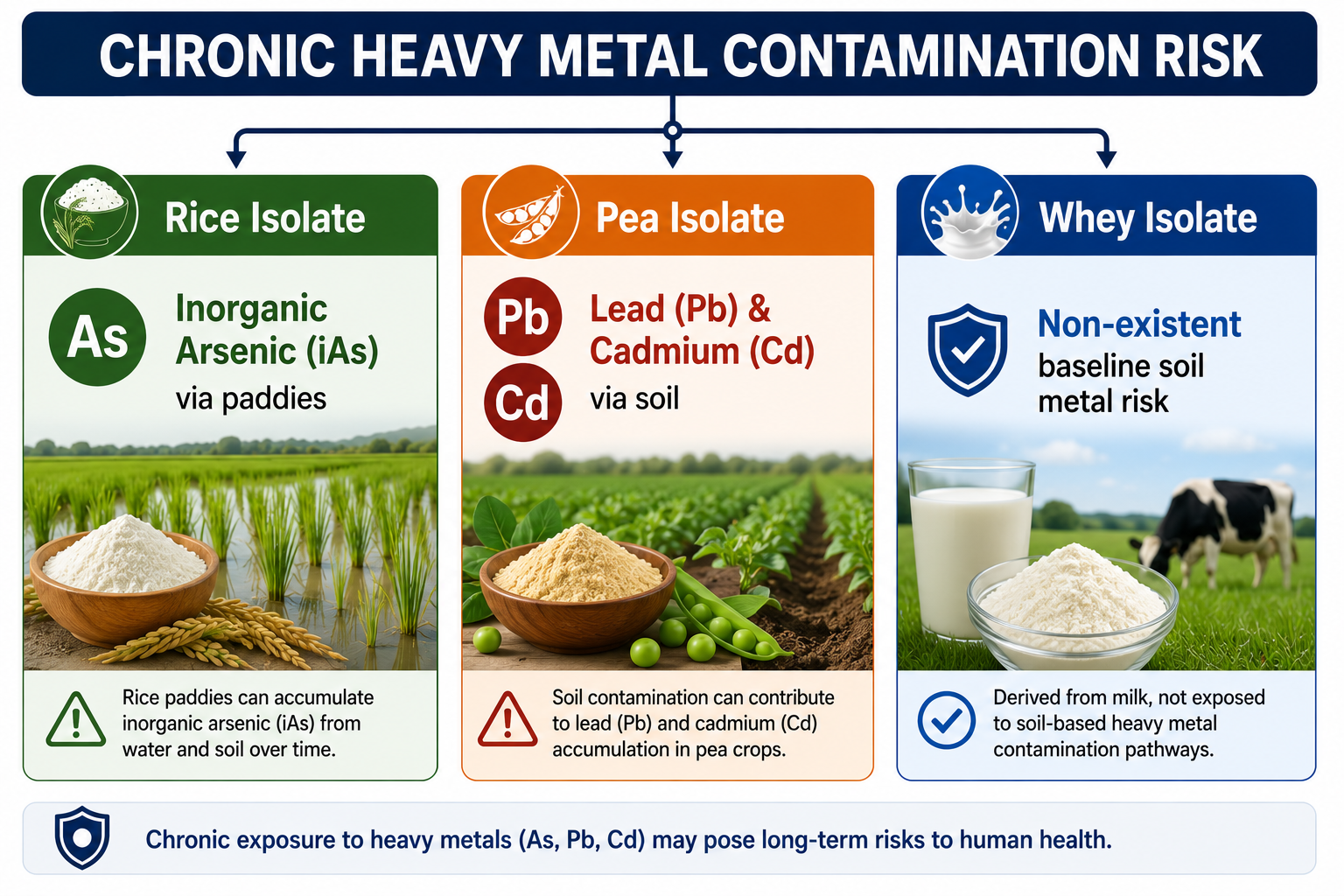 Heavy-Metals-Risk-with-Plant-Proteins