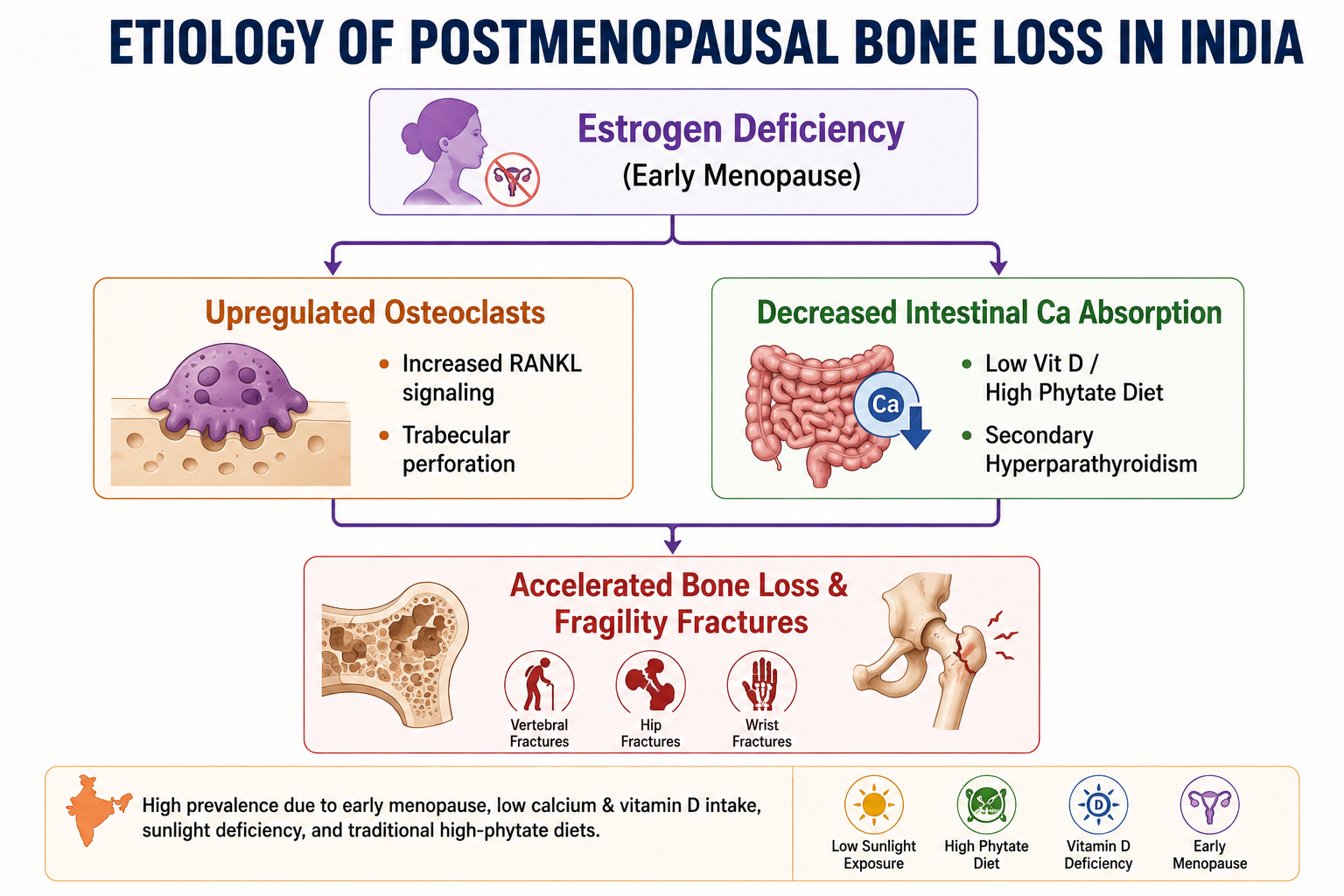 Post Menopausal Osteoporosis in Indian Women
