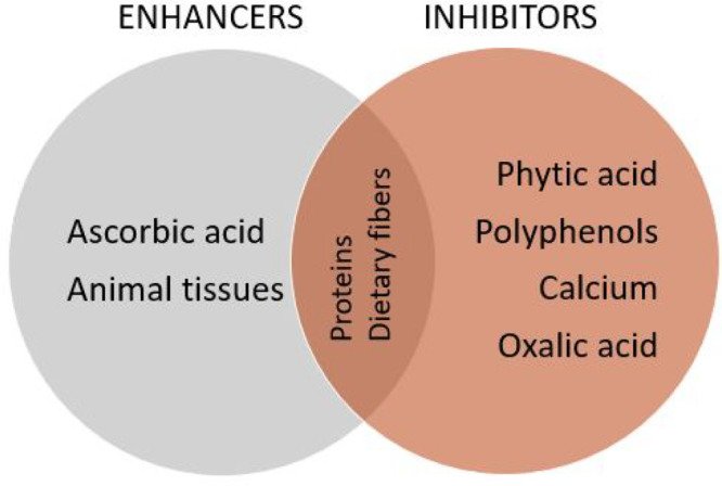 Heme vs Non-Heme Iron