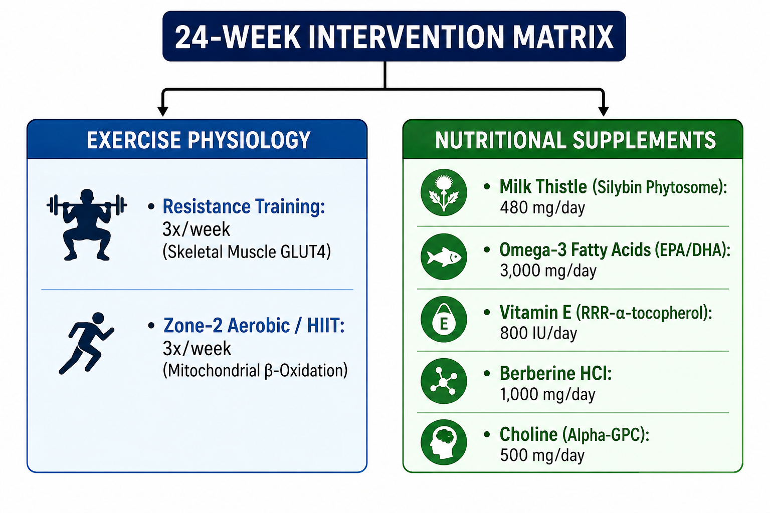 24-Week Exercise and Nutritional Supplements Programme for Grade-2 MASLD Indian Patient
