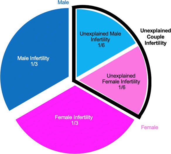 Extent of male and female infertility