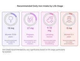 Iron Requirements Across Different Life Stages of Women