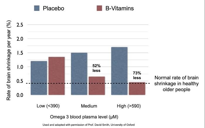 B-Vitamins and Omega-3 Fatty Acids for Brain Health Indians