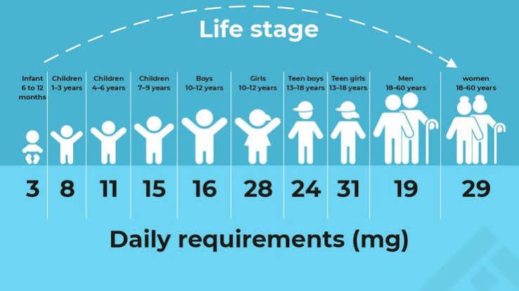 Iron Requirements Across Different Life Stages