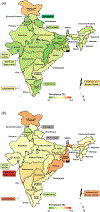 Urban vs Rural Divide of Dementia Population in India