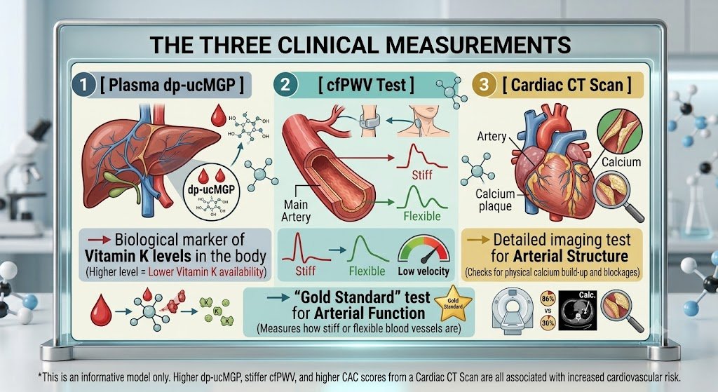 3-Clinical-Markers-for-Vit-K2-in-serum