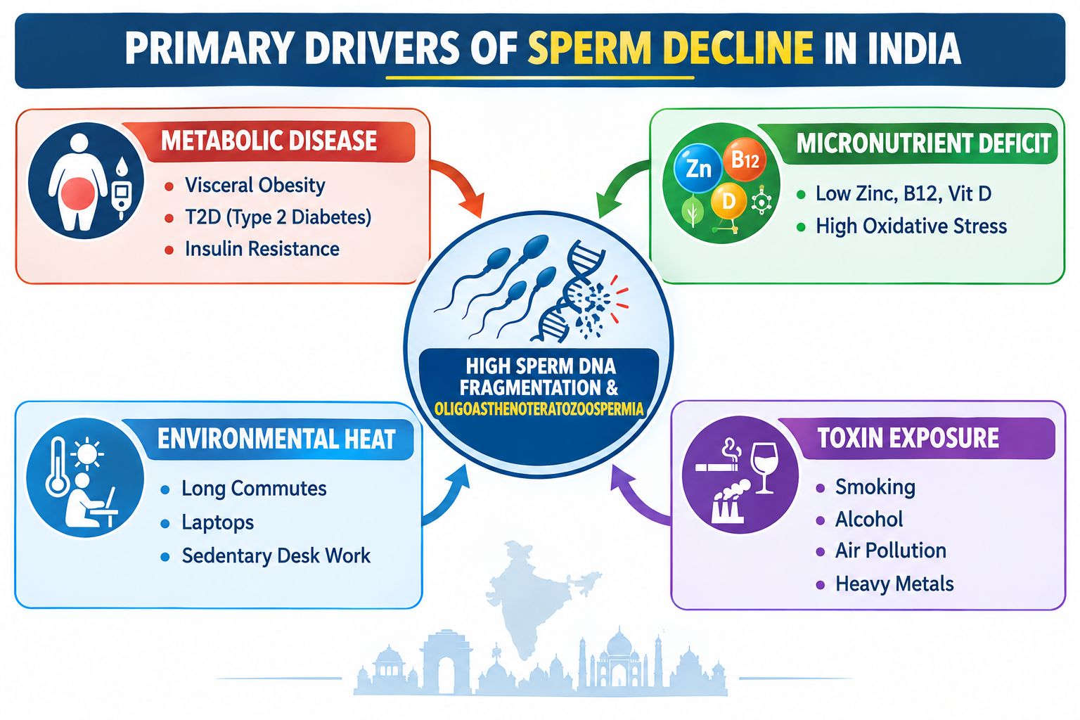 Causes of Sperm Conc Decline in Indians