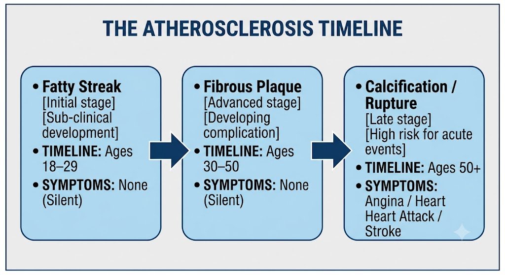 TimeLine-for-Plaque-Formation