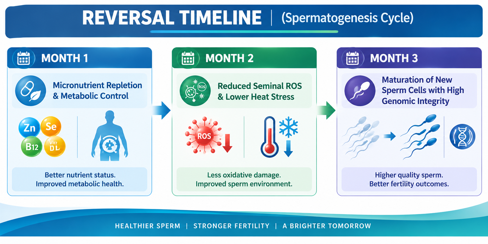 Action Plan for Reversing Male Infertility