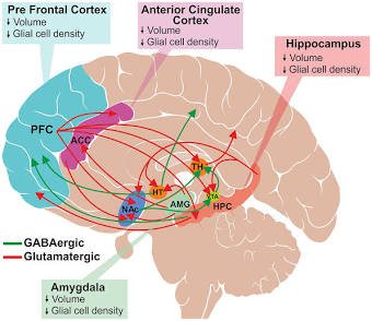 Depression cases in India