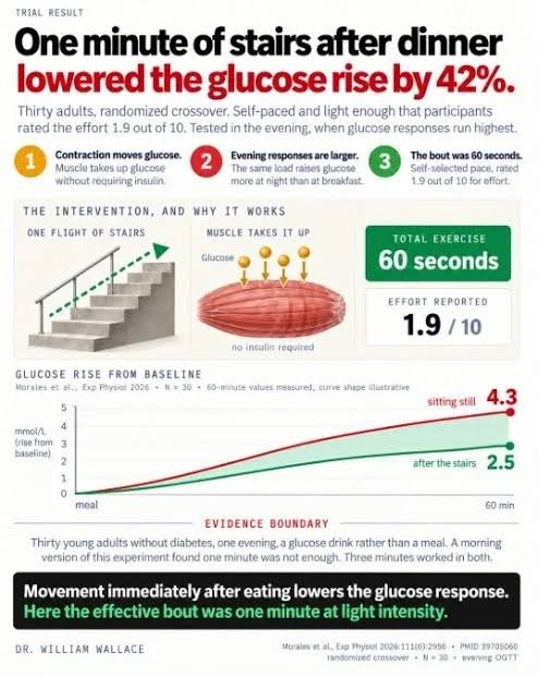 One minute of stair climbing and descending reduces postprandial insulin and glucose