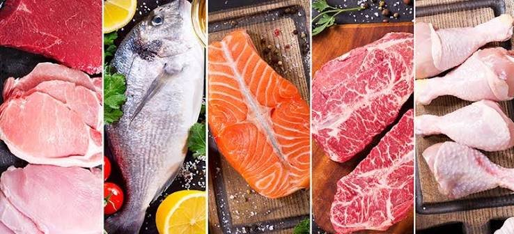 food sources of carnosine